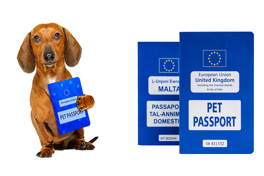 Cervecería No pretencioso impermeable El Pasaporte Europeo de animales de Compañía, un documento de viaje  imprescindible para viajar con nuestras mascotas - Signe - Signe