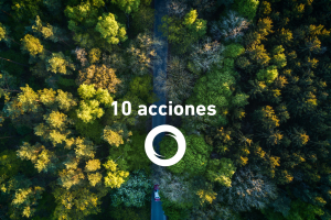 10 acciones Signe por el medio ambiente